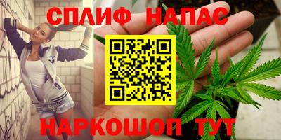 mdpv Малоярославец