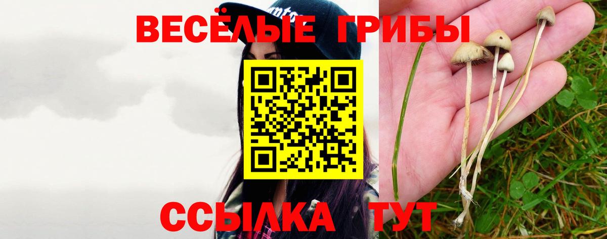 Псилоцибиновые грибы Magic Shrooms  Псилоцибиновые грибы мицелий  Вход с VPN  Чусовой 